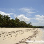 Empty Beach near Kikambala
