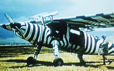 The Famous Zebra-Airplane Dornier Do 27