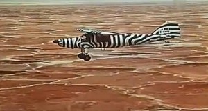 Zebra-Airplane Dornier Do 27
